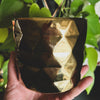 MARRAKESH Double Wick XL Biggie Candle + Planter