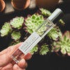 BM Fine Fragrance // 10ml Perfume Oil Roller