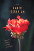 No.48 Amber Geranium // 30ml Eau de Parfum